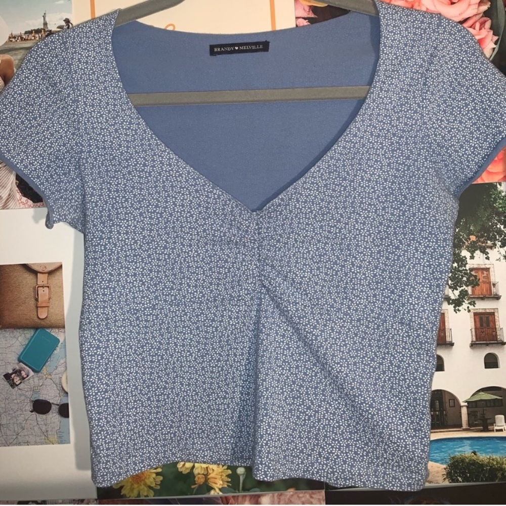brandy melville blue floral gina top